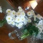 Silvanus Wellness & Konferencia Hotel Visegrád - Egyéb