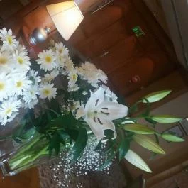 Silvanus Wellness & Konferencia Hotel, Visegrád - Egyéb