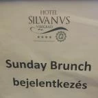 Silvanus Wellness & Konferencia Hotel Visegrád - Vendéglátás