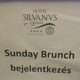 Silvanus Wellness & Konferencia Hotel, Visegrád - Vendéglátás