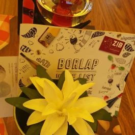 János Vendéglő Siófok, Siófok - Egyéb