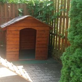 János Vendéglő Siófok, Siófok - Egyéb