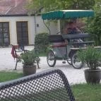 Hubertus-Hof Szálloda Balatonfenyves - Környék