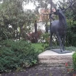 Hubertus-Hof Szálloda, Balatonfenyves - Környék