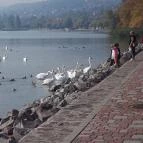 Hunguest Hotel Bál Resort Balatonalmádi - Környék