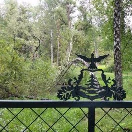 Sebesvíz Panzió Miskolc - Medence/kert