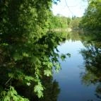 Hotel Orchidea Tengelic Tengelic - Környék