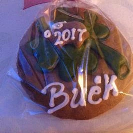 Aranyhomok Business & Wellness Hotel Kecskemét - Egyéb