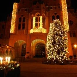 Aranyhomok Business & Wellness Hotel Kecskemét - Környék