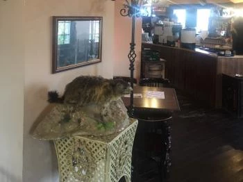 Erzsébet Kilátó Kávézó Budapest