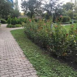 Danubius Hotel Annabella Balatonfüred - Környék