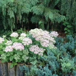 Kakas Étterem Budapest - Külső kép