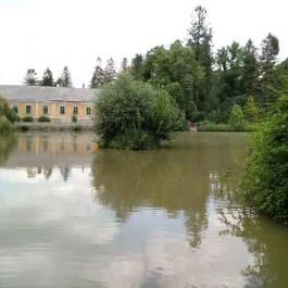 Patkó Vendéglő & Pizzéria Zirc - Egyéb