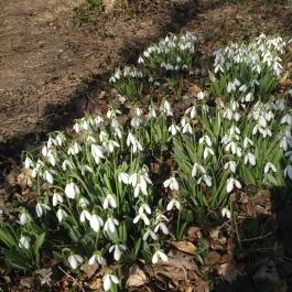 Puskás Akadémia Sport és Wellness Hotel étterme Alcsútdoboz - Egyéb