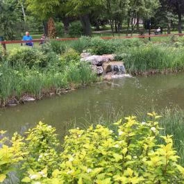 Steakpalota Gyöngyös - Egyéb