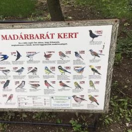 Steakpalota Gyöngyös - Egyéb