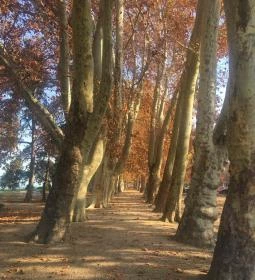 Szóda Étterem & Kávézó