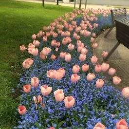 Turul Cafe & Étterem Tatabánya - Egyéb