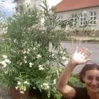 Szent Korona Cukrászda Soltvadkert - Egyéb