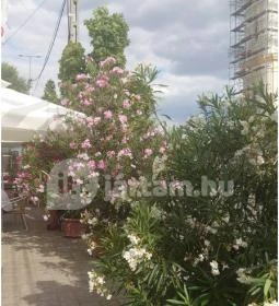 Szent Korona Cukrászda