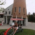 Termál Apartmanok & Kemping Harkány Harkány - Környék