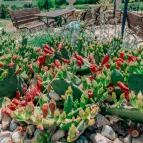 Taberna Infinito - Tapas&Grill Bàr Kisapáti - Egyéb