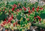 Taberna Infinito - Tapas&Grill Bàr Kisapáti