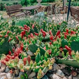 Taberna Infinito - Tapas&Grill Bàr, Kisapáti - Egyéb