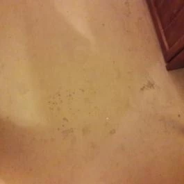 Szépia Bio & Art Hotel Zsámbék - Egyéb