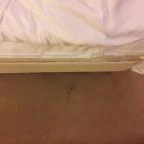 Szépia Bio & Art Hotel Zsámbék - Egyéb