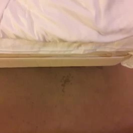 Szépia Bio & Art Hotel Zsámbék - Egyéb