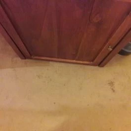 Szépia Bio & Art Hotel Zsámbék - Egyéb