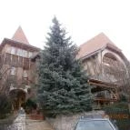 Bagolyvár Fogadó Pécs - Külső kép