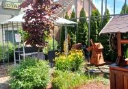 Royal Apartment Kecskemét Kecskemét