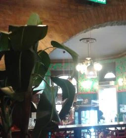 Cafe Frei - Váci utca