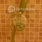 Taverna Dionysos Étterem Budapest - Egyéb