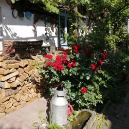 Édeske Cukrász Műhelye, Nagymaros - Belső