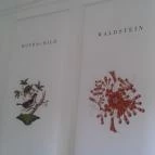 Esterházy-Kastély Fertőd - 