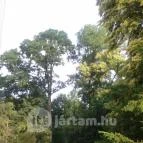 Festetich Kastélyszálló és Zsuzsanna Hotel Szeleste - Környék