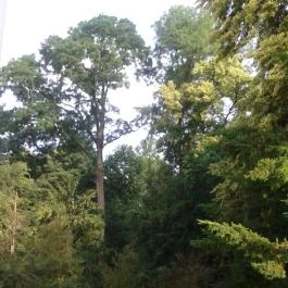 Festetich Kastélyszálló és Zsuzsanna Hotel, Szeleste - Környék