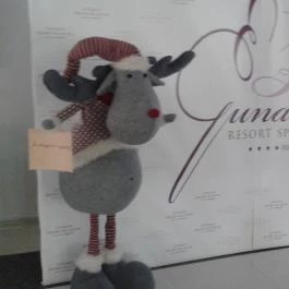 Gunaras Resort Spa Hotel Dombóvár - Belső