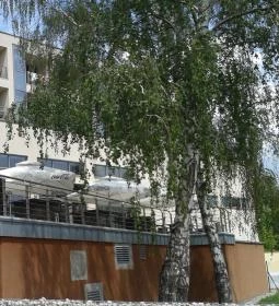 Gunaras Resort Spa Hotel