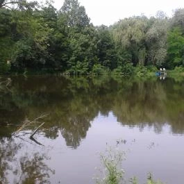 Hotel Orchidea Tengelic Tengelic - Környék