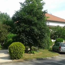 Hotel Orchidea Tengelic Tengelic - Környék