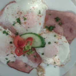 Hotel Orchidea Tengelic Tengelic - Vendéglátás