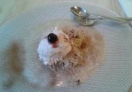 Mazi Greek Kitchen Budapest