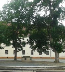 Nádasdy Ferenc Múzeum