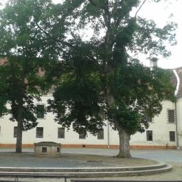 Nádasdy Ferenc Múzeum Sárvár - Egyéb