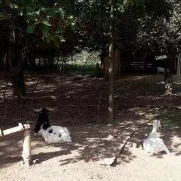 Őrségi Népi Műemlékegyüttes - Szalafő-Pityerszer, Szalafő - Pityerszer - 