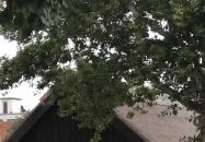 Petőfi Szülőház és Emlékmúzeum Kiskőrös